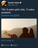 türk solunun pkk ile ilişkisi / #1644488