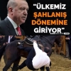 ülkemiz şahlanış dönemine giriyor / #2180204