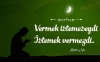 vermek istemeseydi istemek vermezdi / #2300081