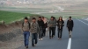 vicdanlı genç türkler / #2177477