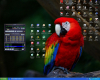 windows xp / #2431453