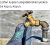 sözlük yazarlarına tavsiyeler / #1465838