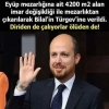 türgev / #1833298