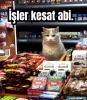 bir gün hiç kadın yazardan mesaj gelmemesi / #2167638