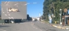 köpeklerin hiş bir faydasının olmaması / #2205633