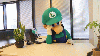 luigi / #1532045