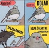 dolar 8 oldu amk / #2089885