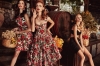 dolce gabbana / #1454245