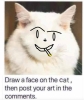 kediye yüz çizin ve paylaşın