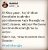 kadir mısıroğlu 10 tane ilber ortaylı eder