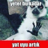 keneden şırıngayla kanını çekerek intikam almak / #2030185