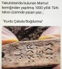 kurdu çakala boğdurma