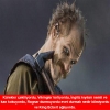 floki ile dosta doğru / #1421679