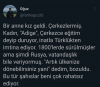çerkezlerin kendi dillerinde eğitim görmek istemesi / #2165189