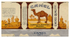 filtresiz camel / #1454850