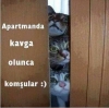 her gün kavga eden alt kat / #1206624