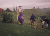 teletubbies / #1046082