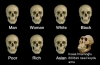 ak troll lerin ekrem imamoğlu hazımsızlıkları / #2075130