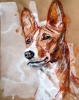 basenji