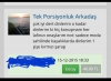 tek porsiyonluk arkadaş / #1957094