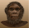 homo rudolfensis