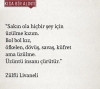 kısa bir alıntı / #2220226