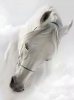 beyaz atın temsil ettiği şey