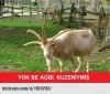 sevgilinin karşı cins kankasıyla tatile gitmesi / #1022539