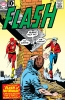 the flash / #1169075