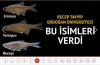 yerli nükleer başlık için isim önerileri / #1897975