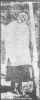 feto atatürk döneminde yaşasa ne olurdu / #1547318