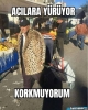 iki yazarın birbirine olan aşkı / #2115764