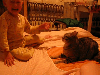 kedi ve köpeklerin olmadığı sokaklar istiyoruz / #1441467