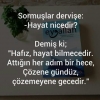 ne demiş şair / #1648064