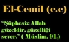 allah güzeldir güzelliği sever / #2190897