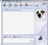 msn messenger