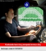 2017 yılında halen survivor izlenmesi / #1322502