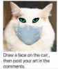 kediye yüz çizin ve paylaşın