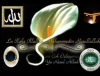 kelime i tevhid / #2425942