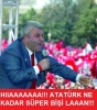 chp li troll / #2192326