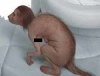 deep web de bulunan tuhaf kadın fotoğrafı / #1480652