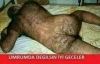 arkadaşlar önemli bir şey söyleyeceğim bi bakın / #1349413