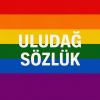 sözlüğün gey friendly bir yer olması