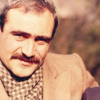 dilaver cebeci
