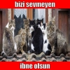 kedi besleyen erkeklerin genelde ibne olması