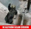 küresel ikinma nickli yazar vardı ne oldu ona / #1288384