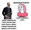 köpektapar