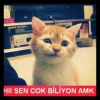 takıntı yapmak