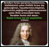 uzmanlık seviyelerine göre dolandırıcılık