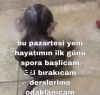 yazarların kendilerine verdikleri sözler / #2281554
